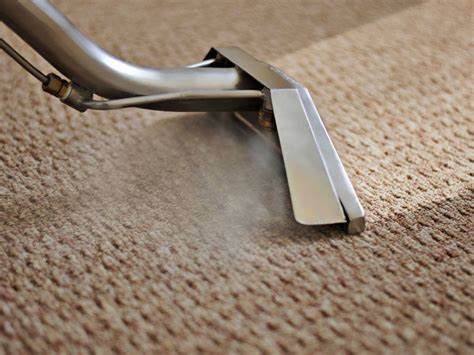 Carpet Cleaning & Extraction 
